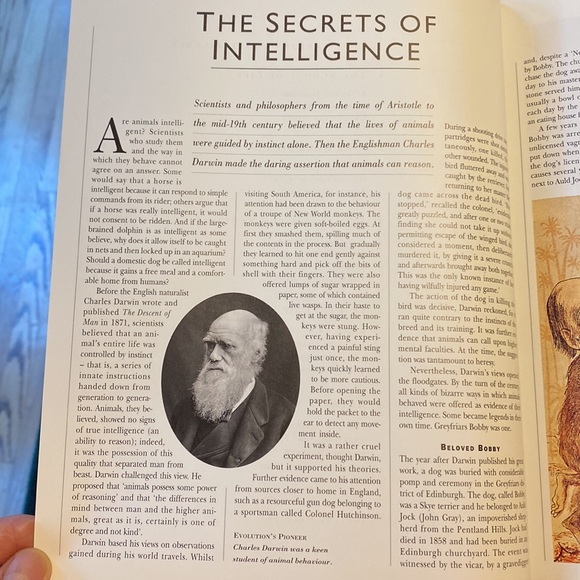 Books:Scholastic Encyclopedia ANIMALS & Reader’s Digest INTELLIGENCE IN ANIMALS - Picture 6 of 16